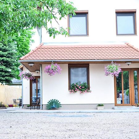 Pava Apartmanhaz Makó Zewnętrze zdjęcie