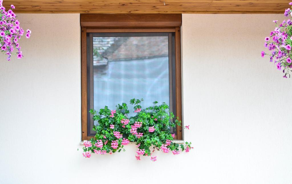 Pava Apartmanhaz Makó Zewnętrze zdjęcie